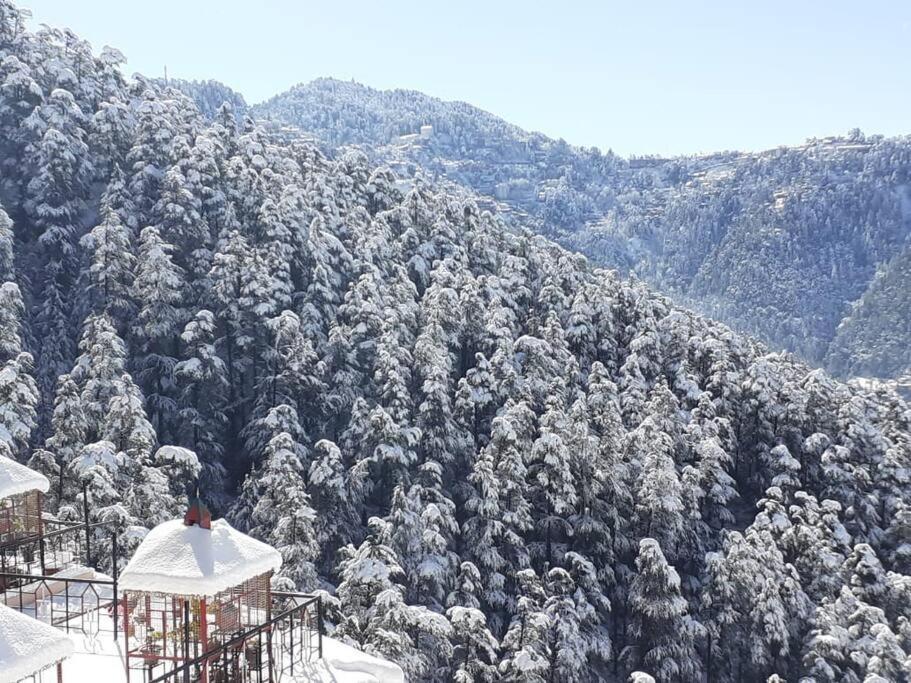 Residence Inn Homestay Shimla Exterior foto