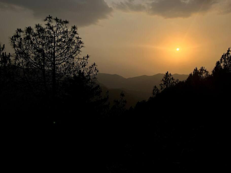 Residence Inn Homestay Shimla Exterior foto