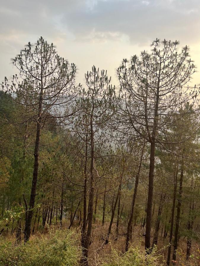 Residence Inn Homestay Shimla Exterior foto